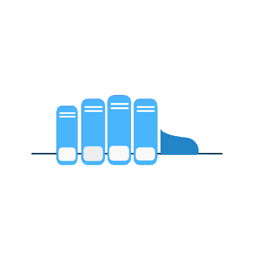Website Development